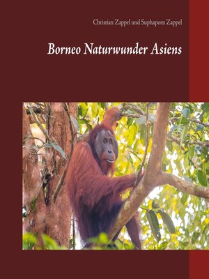cover image of Borneo Naturwunder Asiens